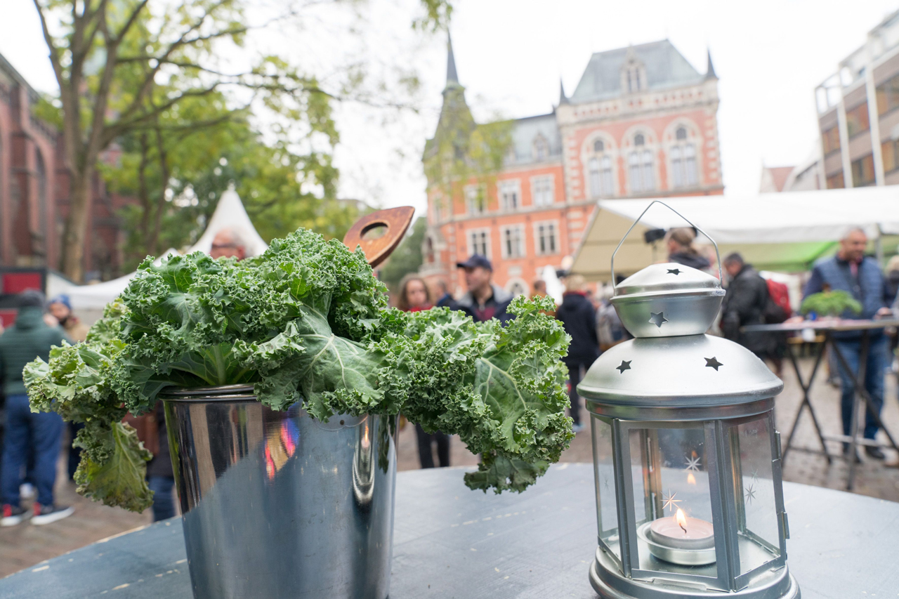 Oldenburg eröffnet die Grünkohlsaison mit kreativen Angeboten und neuem Gruppenprogramm.