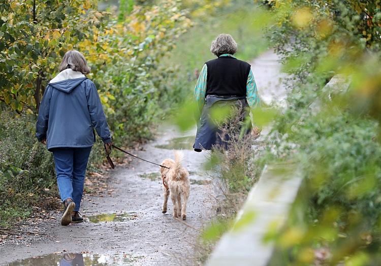 Zwei Frauen gehen mit einem Hund Gassi (Archiv), via dts Nachrichtenagentur
