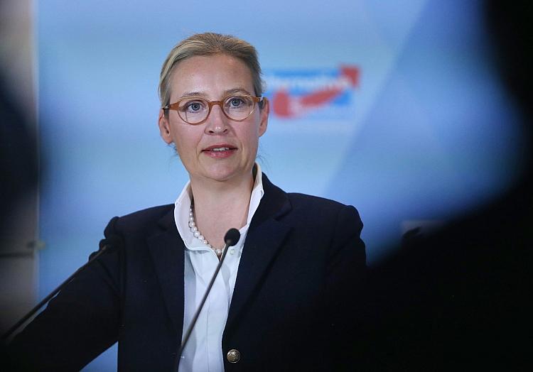 Alice Weidel am 07.11.2024, via dts Nachrichtenagentur
