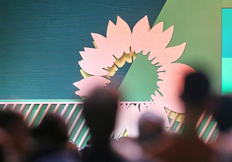 Grünen-Sonnenblume (Archiv), via dts Nachrichtenagentur