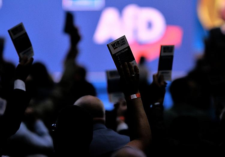 Abstimmung auf AfD-Parteitag (Archiv), via dts Nachrichtenagentur