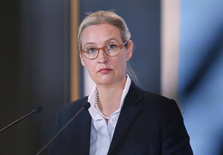 Alice Weidel (Archiv), via dts Nachrichtenagentur