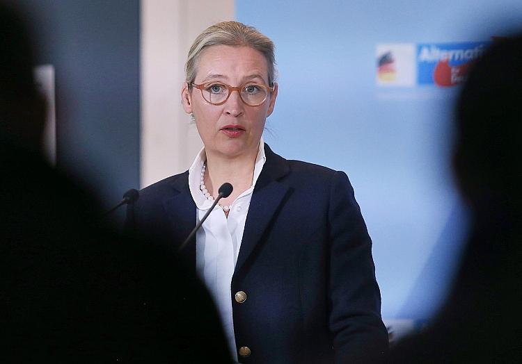 Alice Weidel (Archiv), via dts Nachrichtenagentur