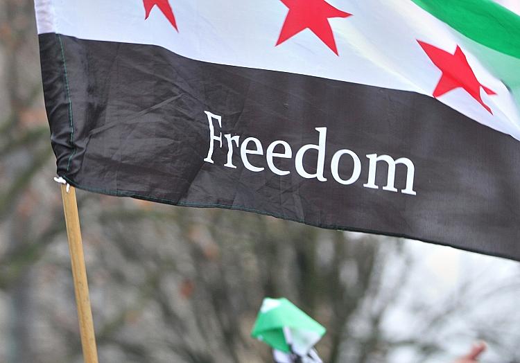 Syrer feiern den Sturz von Assad am 08.12.2024, via dts Nachrichtenagentur