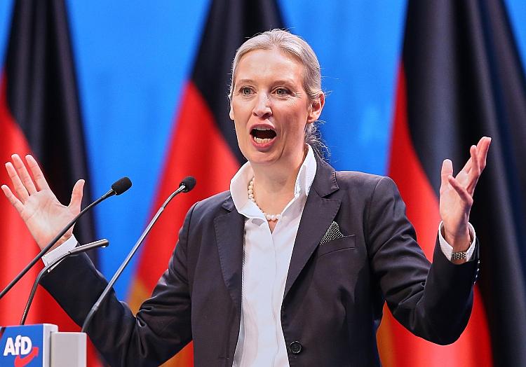Alice Weidel (Archiv), via dts Nachrichtenagentur