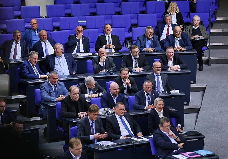 AfD-Fraktion (Archiv), via dts Nachrichtenagentur