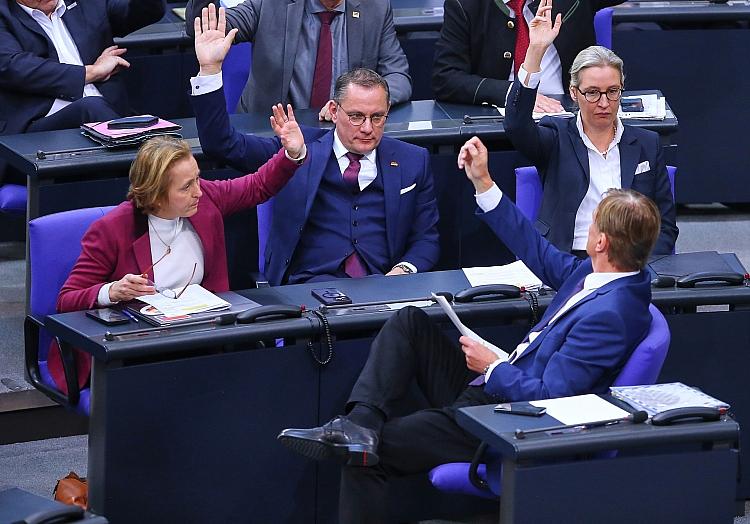 AfD-Bundestagsfraktion (Archiv), via dts Nachrichtenagentur