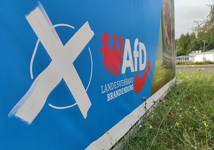 AfD-Wahlplakat zur Landtagswahl in Brandenburg (Archiv), via dts Nachrichtenagentur