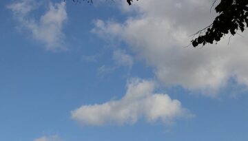 dts_image_5530_eqgtgjahjh_03441_750_524