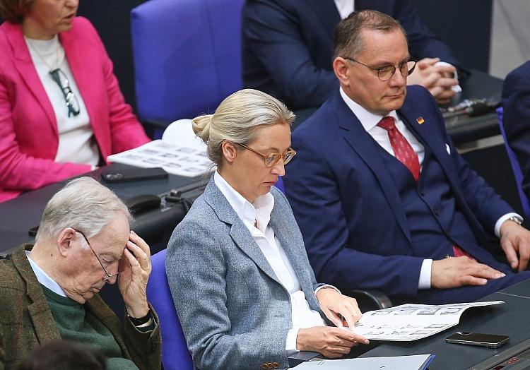 Alexander Gauland, Alice Weidel und Tino Chrupalla (Archiv), via dts Nachrichtenagentur
