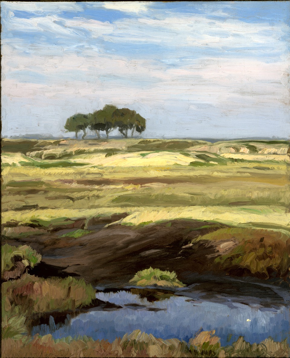 Richard tom Dieck, Alexanderheide, Öl auf Leinen, 1925