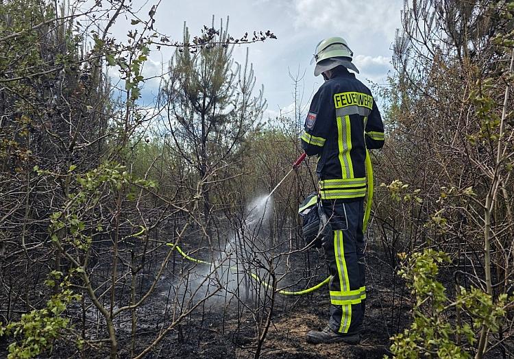 Feuerwehr Celle via dts Nachrichtenagentur