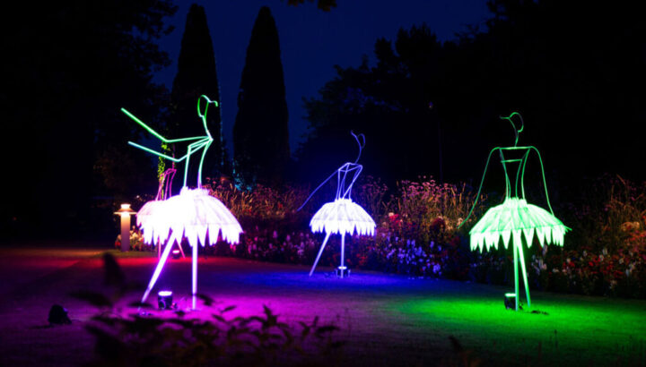 PdG_PM_Illumination_Hans_Juergen_Zietz-1