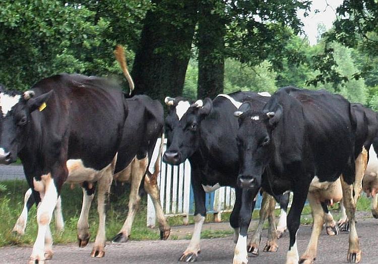 via dts Nachrichtenagentur