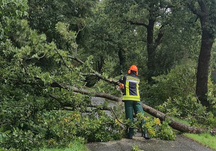 Foto: Enno Campen via dts Nachrichtenagentur