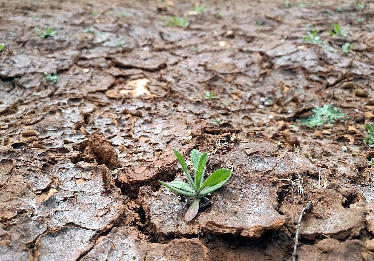 via dts Nachrichtenagentur