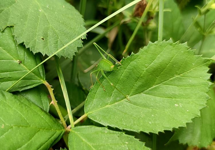 via dts Nachrichtenagentur