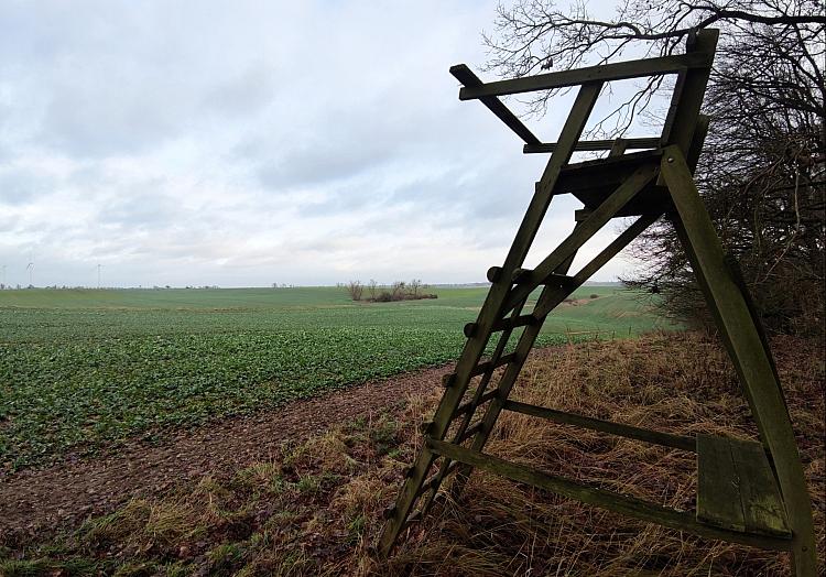 via dts Nachrichtenagentur