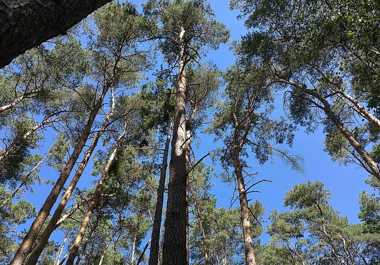 via dts Nachrichtenagentur