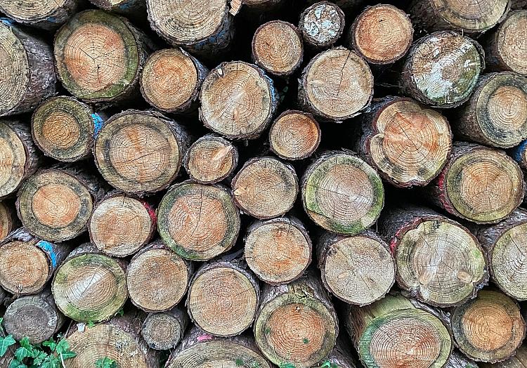 via dts Nachrichtenagentur