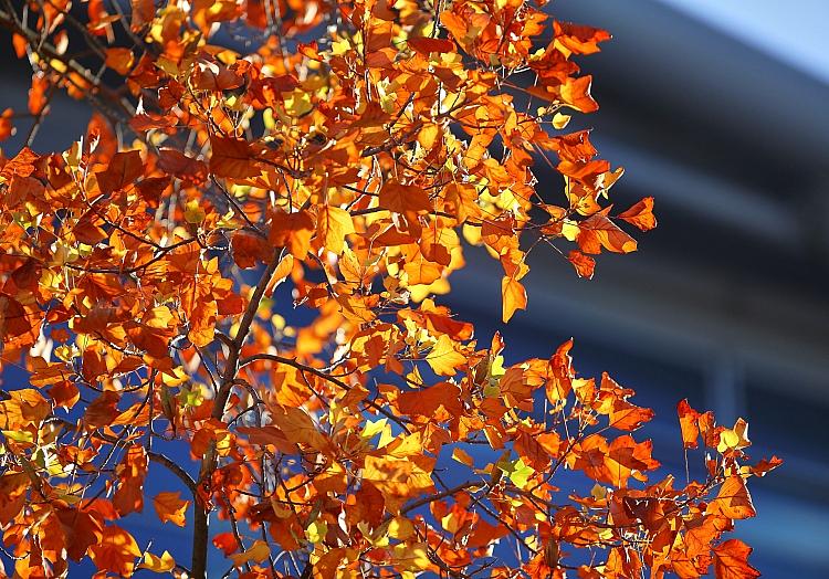 via dts Nachrichtenagentur