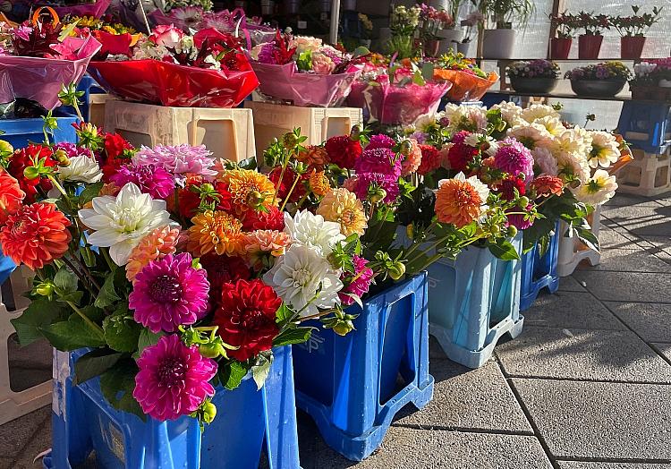 via dts Nachrichtenagentur