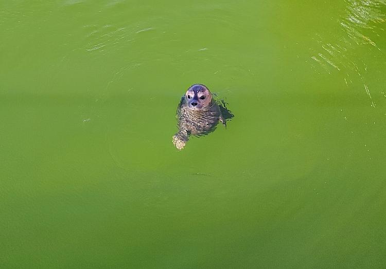 via dts Nachrichtenagentur