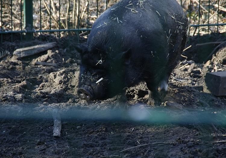 via dts Nachrichtenagentur