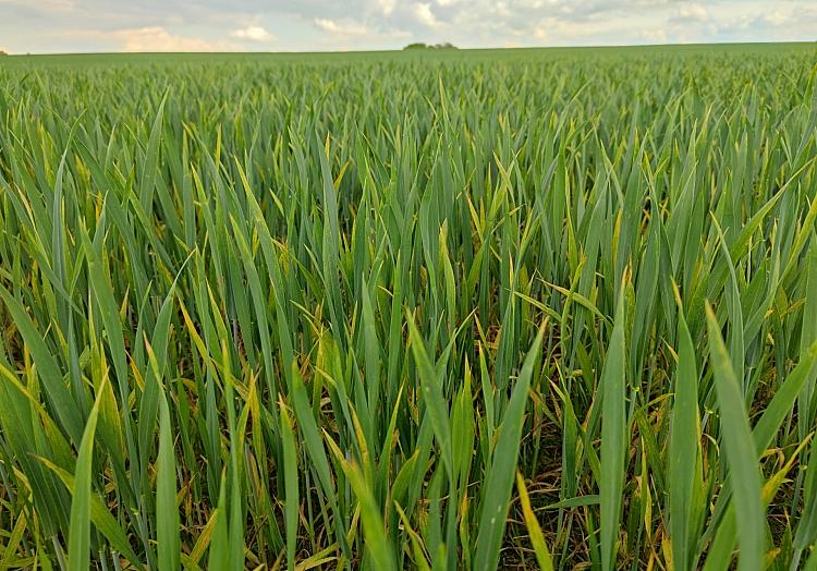 via dts Nachrichtenagentur