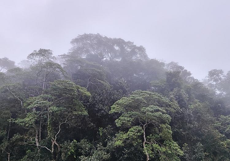 via dts Nachrichtenagentur