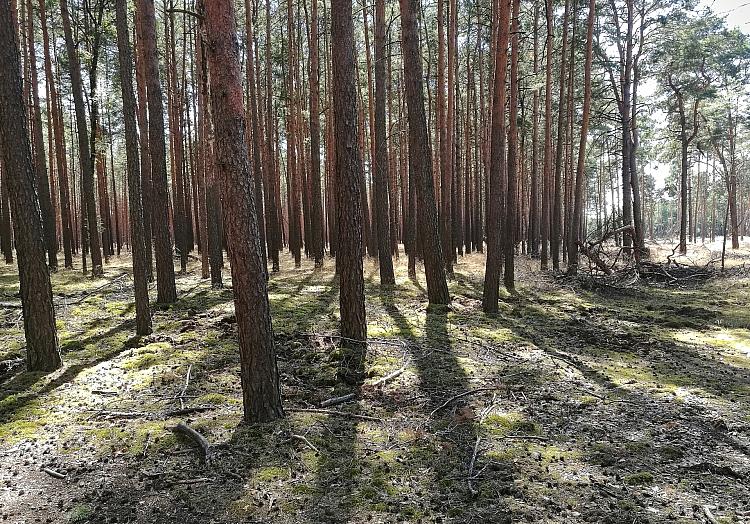 via dts Nachrichtenagentur