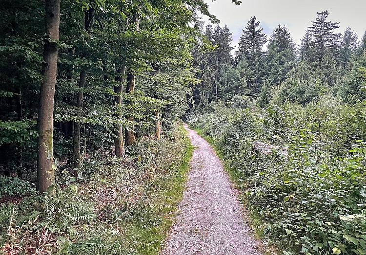 via dts Nachrichtenagentur