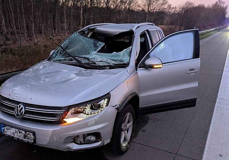 Polizeiinspektion Cuxhaven via dts Nachrichtenagentur