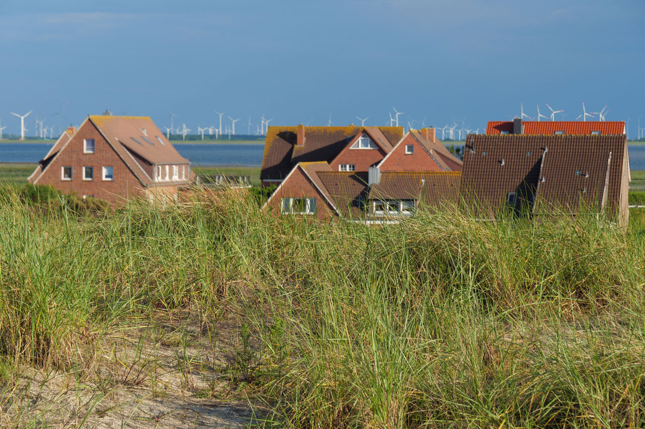 Die Weite des norddeutschen Flachlandes, der stete Wind von der Küste und das vertraute „Moin“ zur Begrüßung – für viele Oldenburger ist dies der Inbegriff von Heimat.