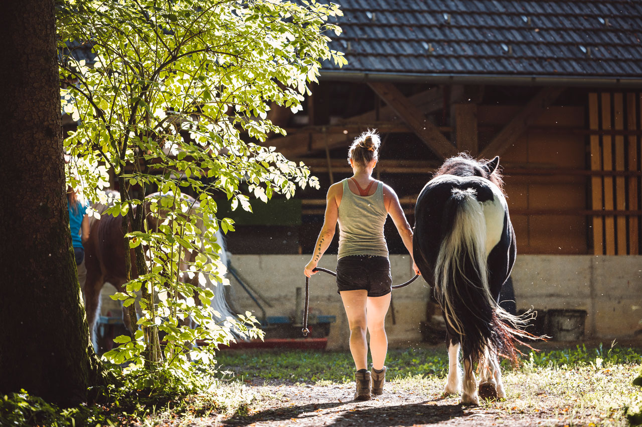 Der Alltag im Pferdestall ist körperlich fordernd, organisatorisch anspruchsvoll und oft ein Balanceakt zwischen Beruf, Familie und der Zeit, die man eigentlich mit dem Pferd selbst verbringen möchte.