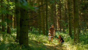 wald