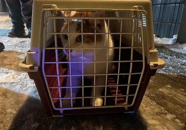  Feuerwehr Celle via dts Nachrichtenagentur