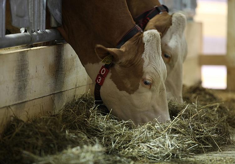 via dts Nachrichtenagentur