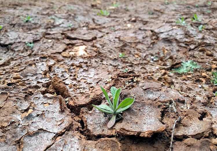 via dts Nachrichtenagentur