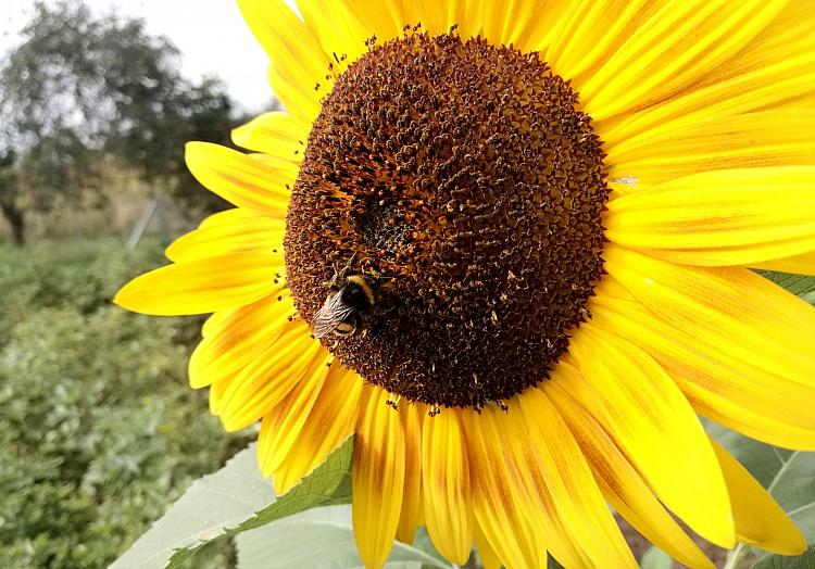 via dts Nachrichtenagentur