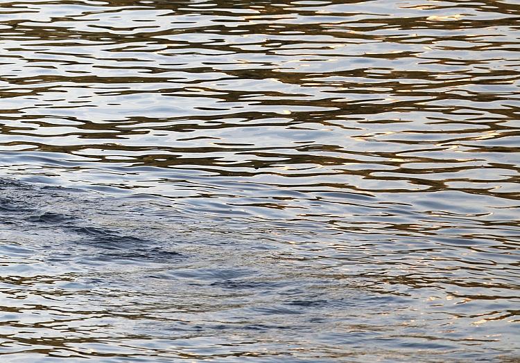 via dts Nachrichtenagentur