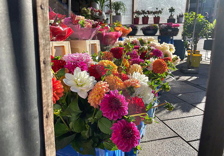 via dts Nachrichtenagentur