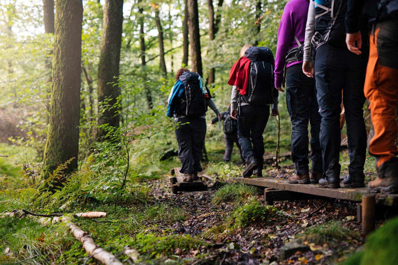 Zwischen Nordseeküste, Moorlandschaften und weitläufigen Naturparks finden Erholungssuchende ideale Bedingungen für Bewegung an der frischen Luft.