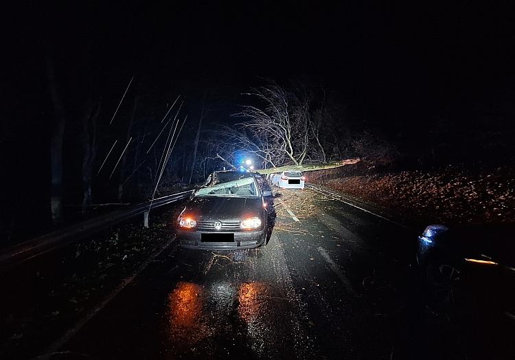Polizei Holzminden via dts Nachrichtenagentur