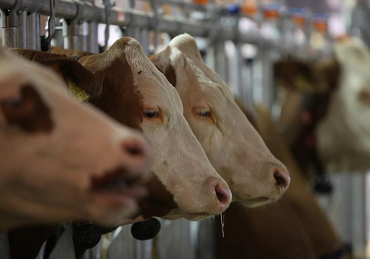 via dts Nachrichtenagentur