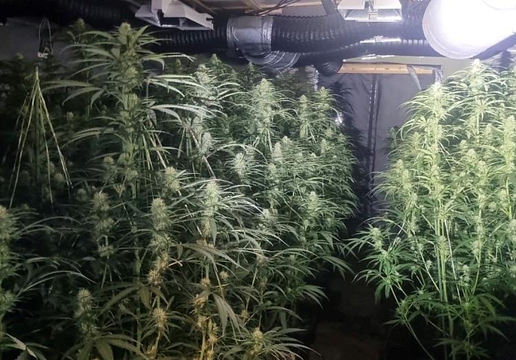 Polizeiinspektion Emsland/Grafschaft Bentheim via dts Nachrichtenagentur