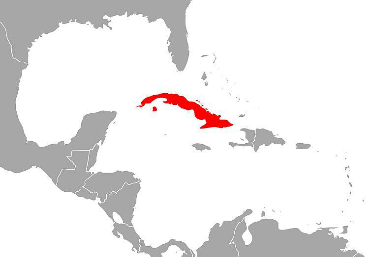 via dts Nachrichtenagentur