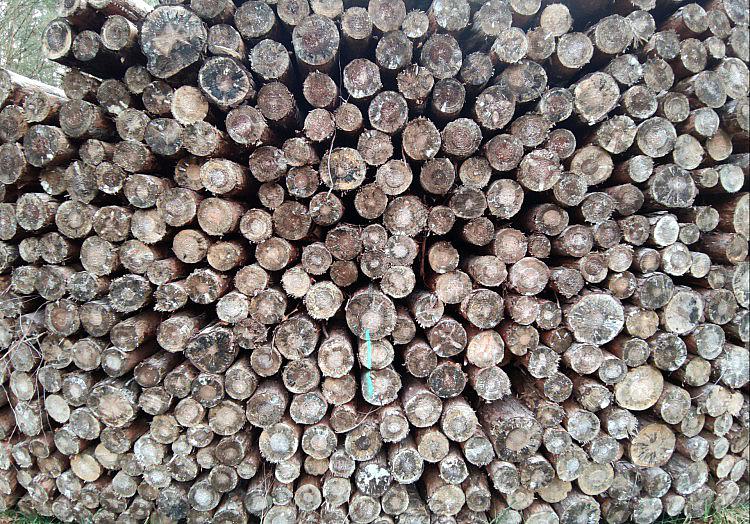 via dts Nachrichtenagentur