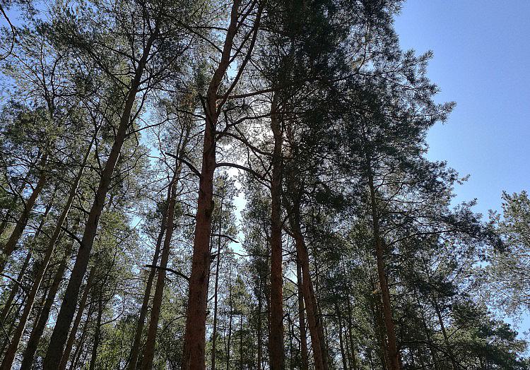 via dts Nachrichtenagentur