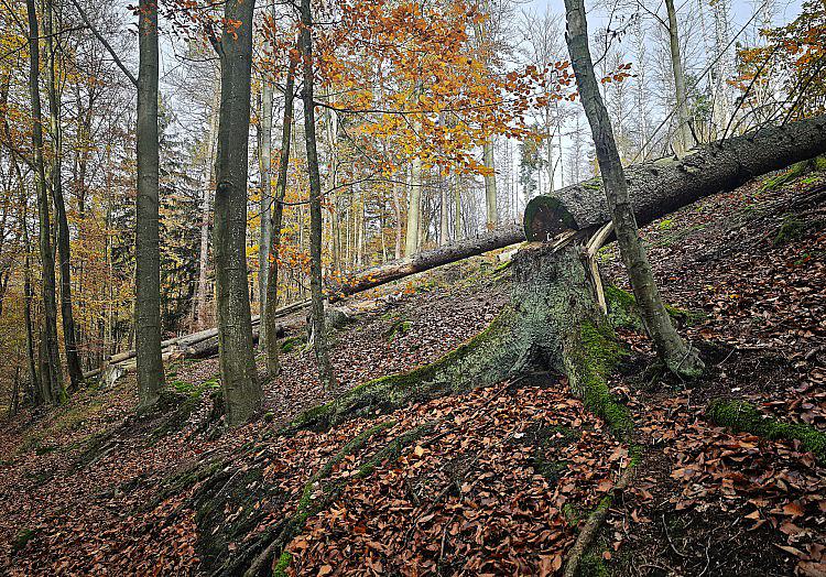 via dts Nachrichtenagentur